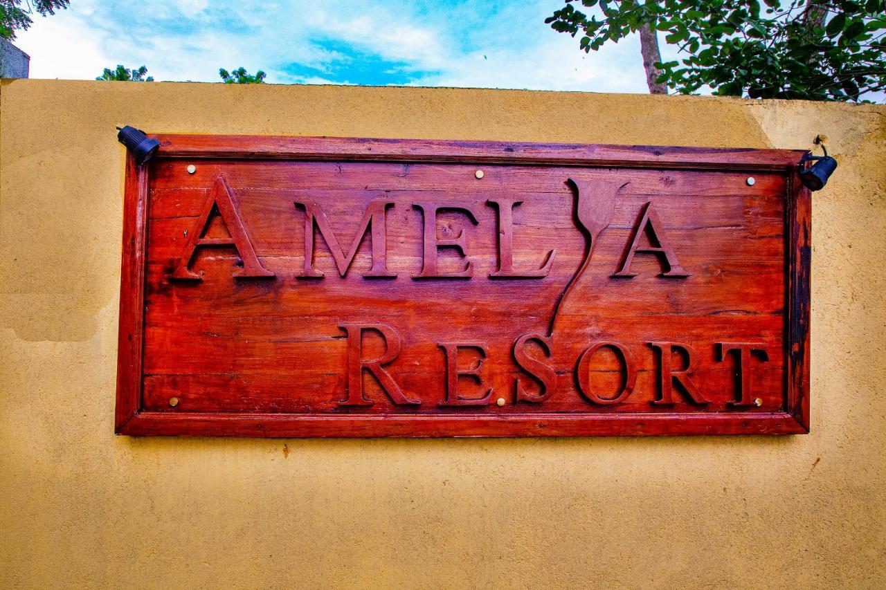 Amelia Resort Sigiriya Exterior foto