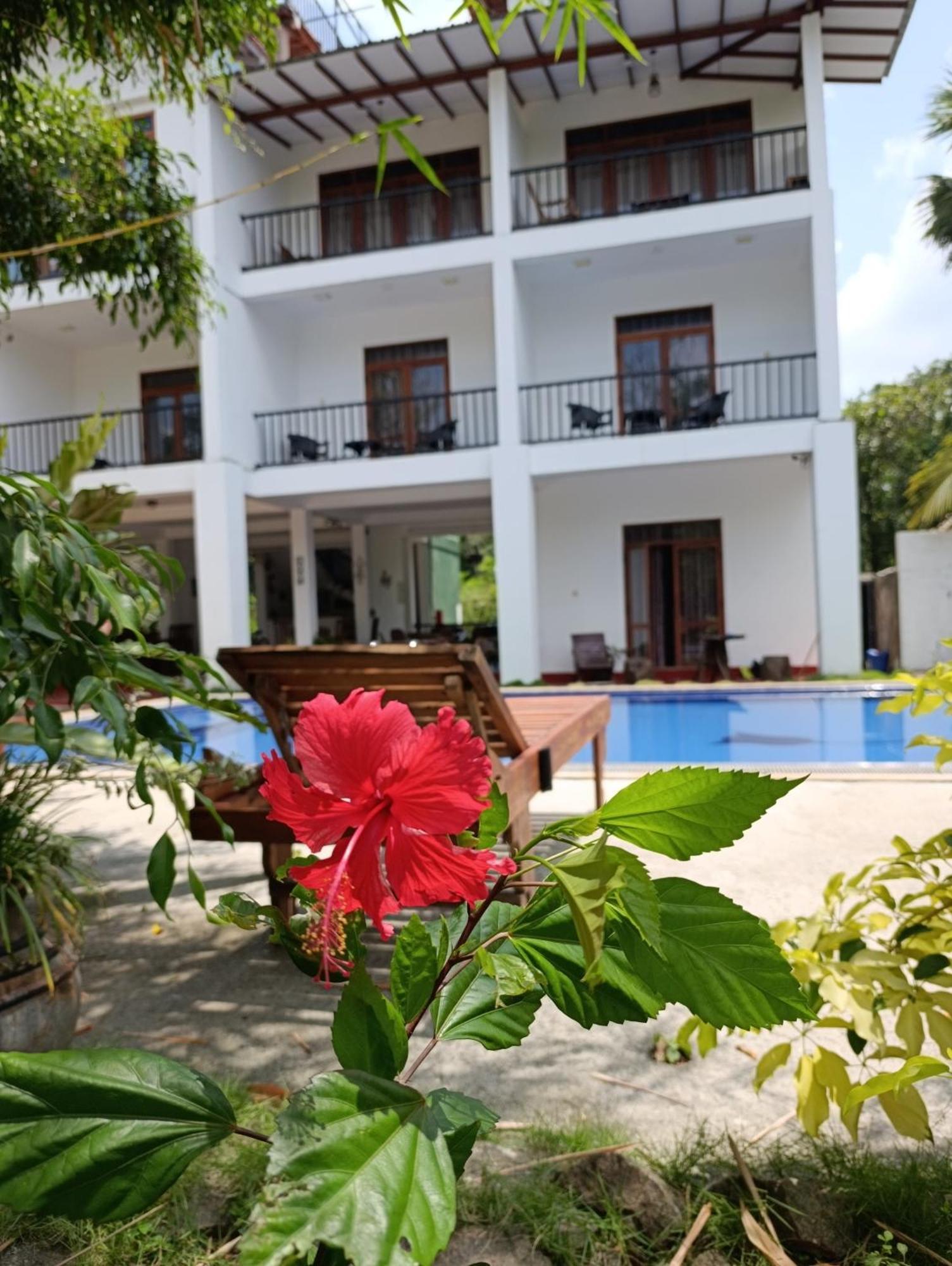 Amelia Resort Sigiriya Exterior foto