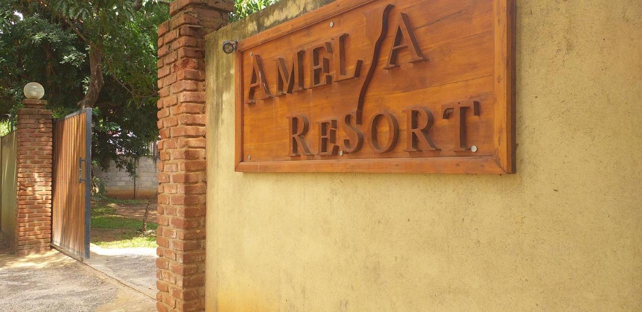 Amelia Resort Sigiriya Exterior foto